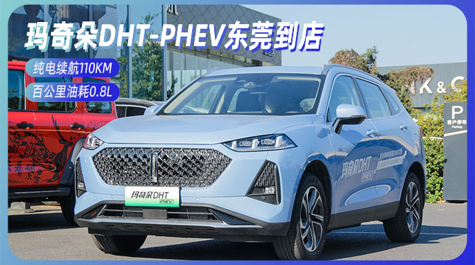 纯电续航110km 油耗0.8l，wey玛奇朵phev到店实拍