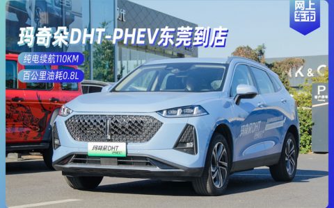 纯电续航110km 油耗0.8l，wey玛奇朵phev到店实拍